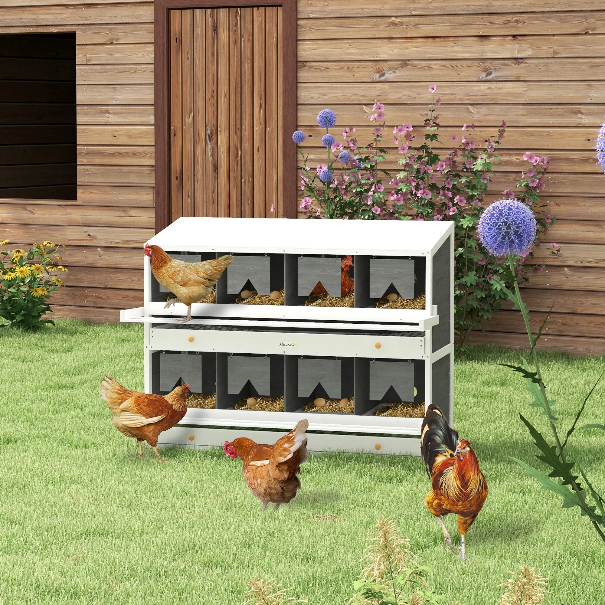 Nido para gallinas PawHut con 2 compartimentos para huevos y 8 bandejas para huevos