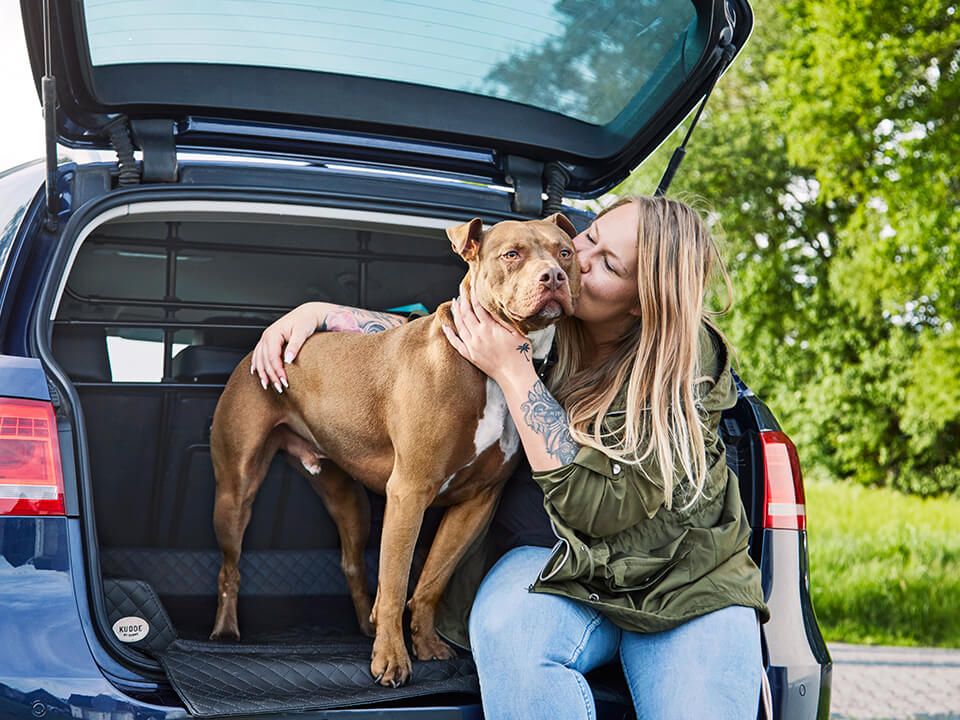 2025 Cama de coche para perro Vagn