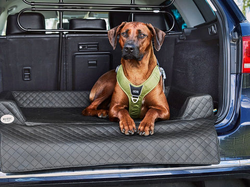 2025 Cama de coche para perro Vagn