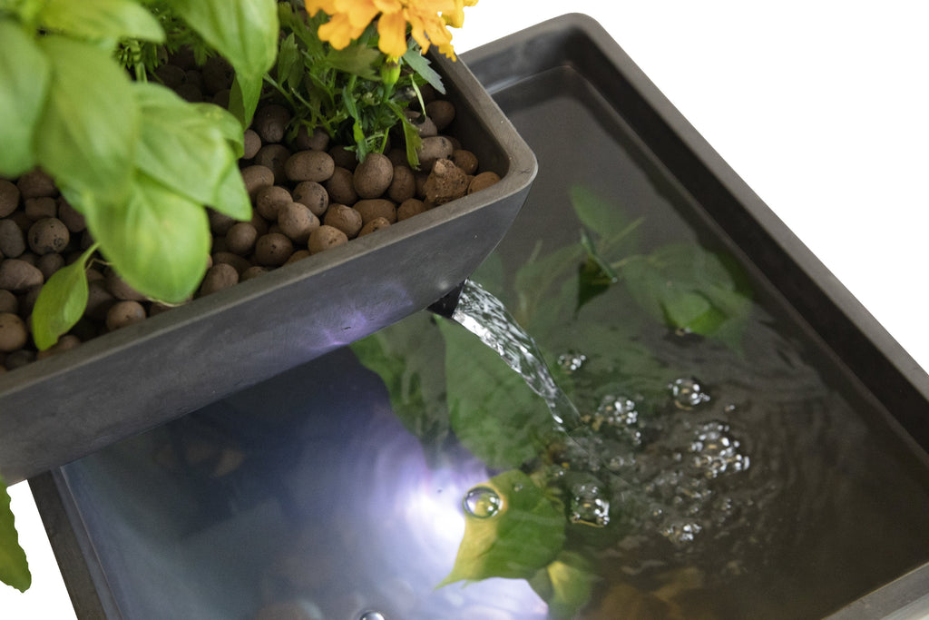 Fuente AquaSprouts: Jardín de Agua Hidropónico, Acuapónico (8 Galones)